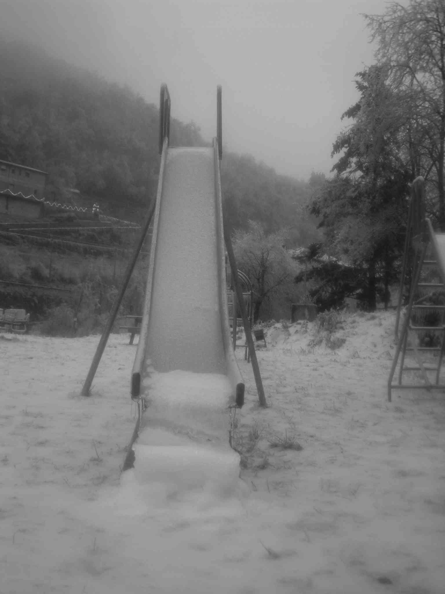  Image name: DSCF6758.JPG 
 width: 1536 pixel 
 height: 2048 pixel 
 Size: 93842 bytes 
 Click to enlarge 